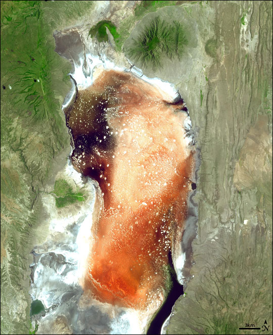 satellite image of Lake Natron 
in Tanzania from NASA